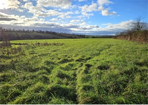 terrain à la vente -   44522  POUILLE LES COTEAUX, surface 1500 m2 vente terrain - UBI453687764